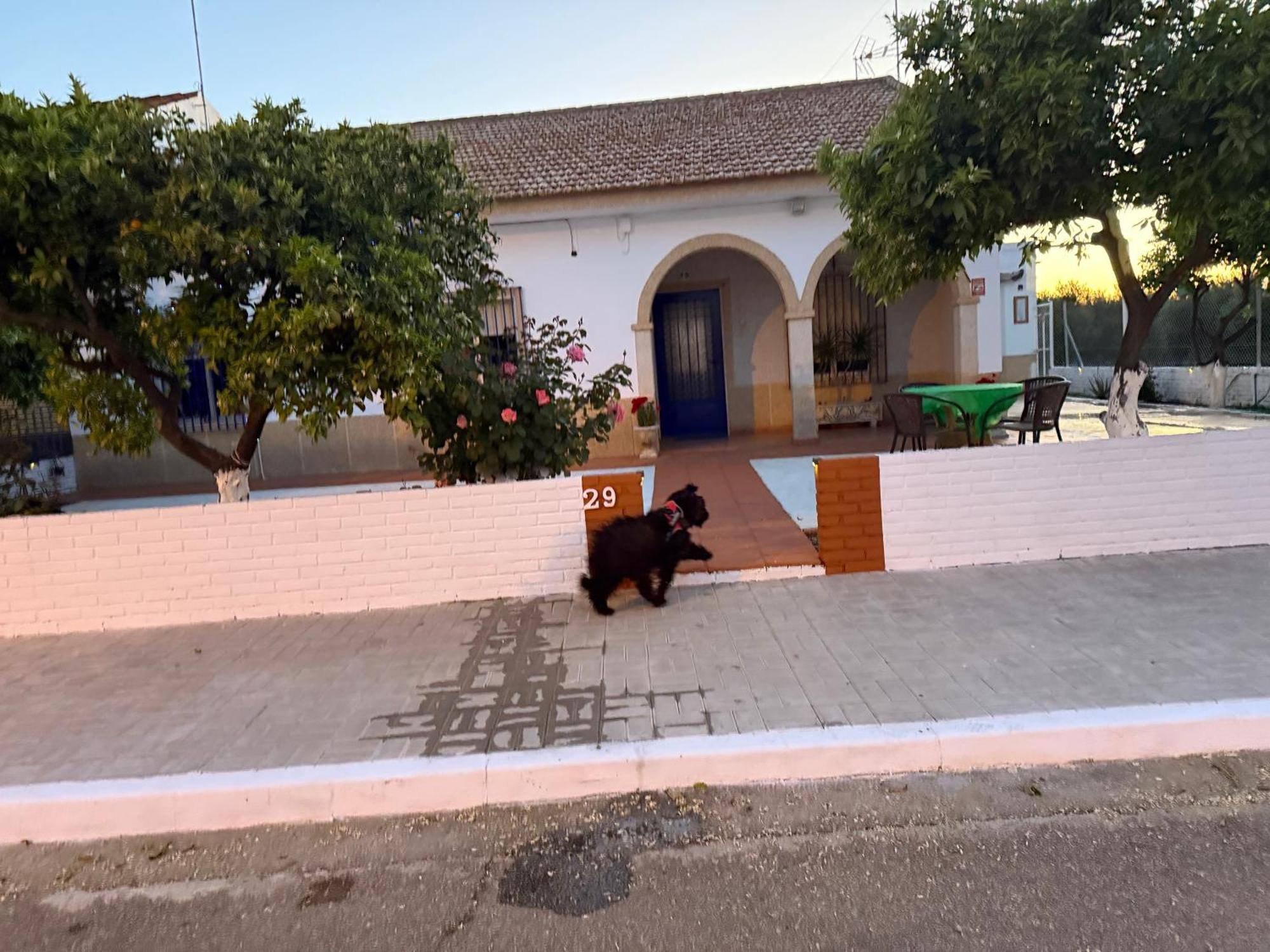 Vila La Casa Del Flamenco Cañada del Rabadán Exteriér fotografie
