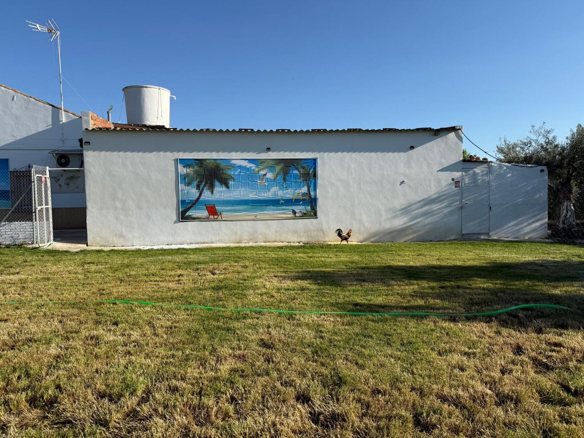 Vila La Casa Del Flamenco Cañada del Rabadán Exteriér fotografie