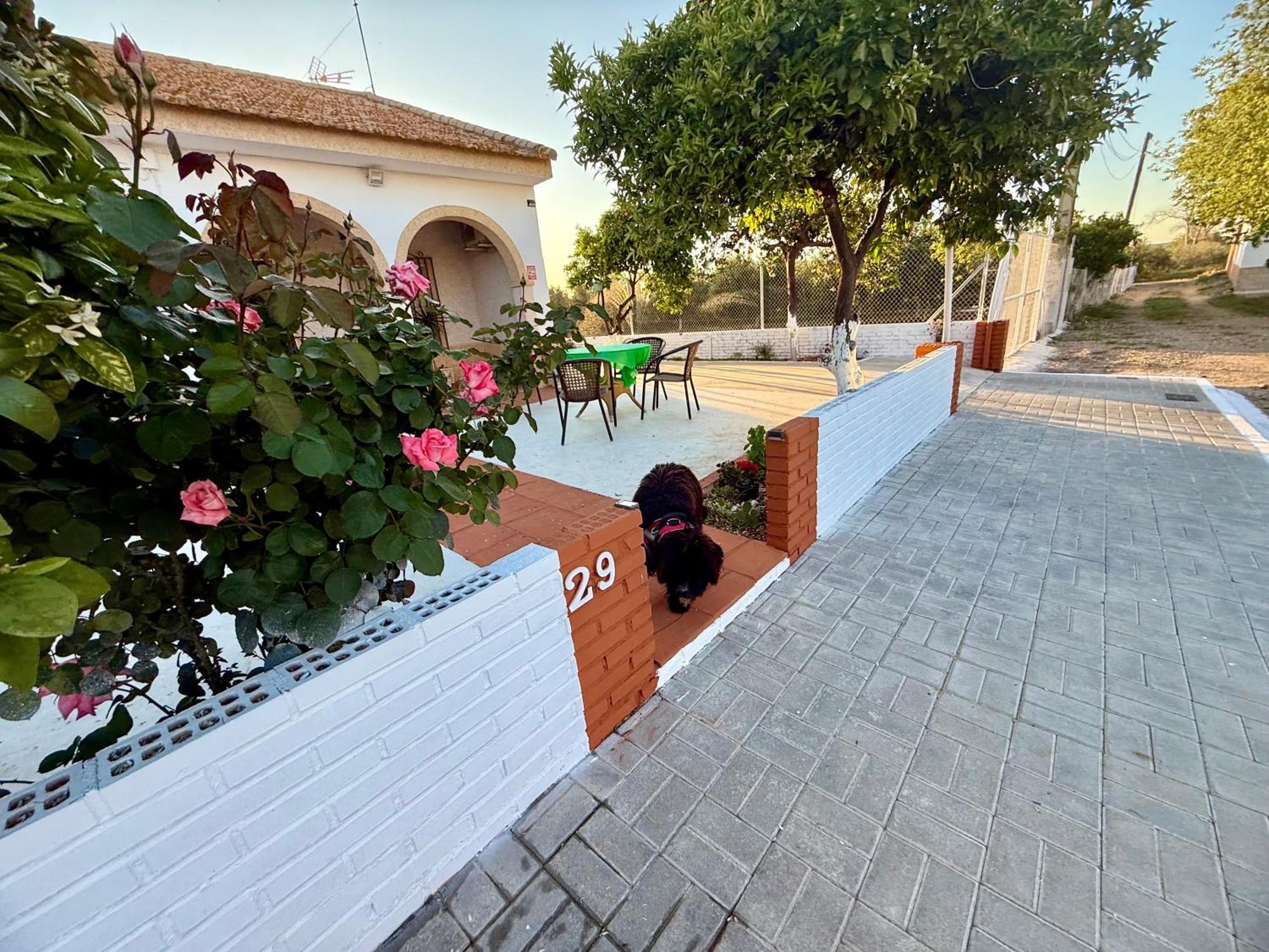 Vila La Casa Del Flamenco Cañada del Rabadán Exteriér fotografie