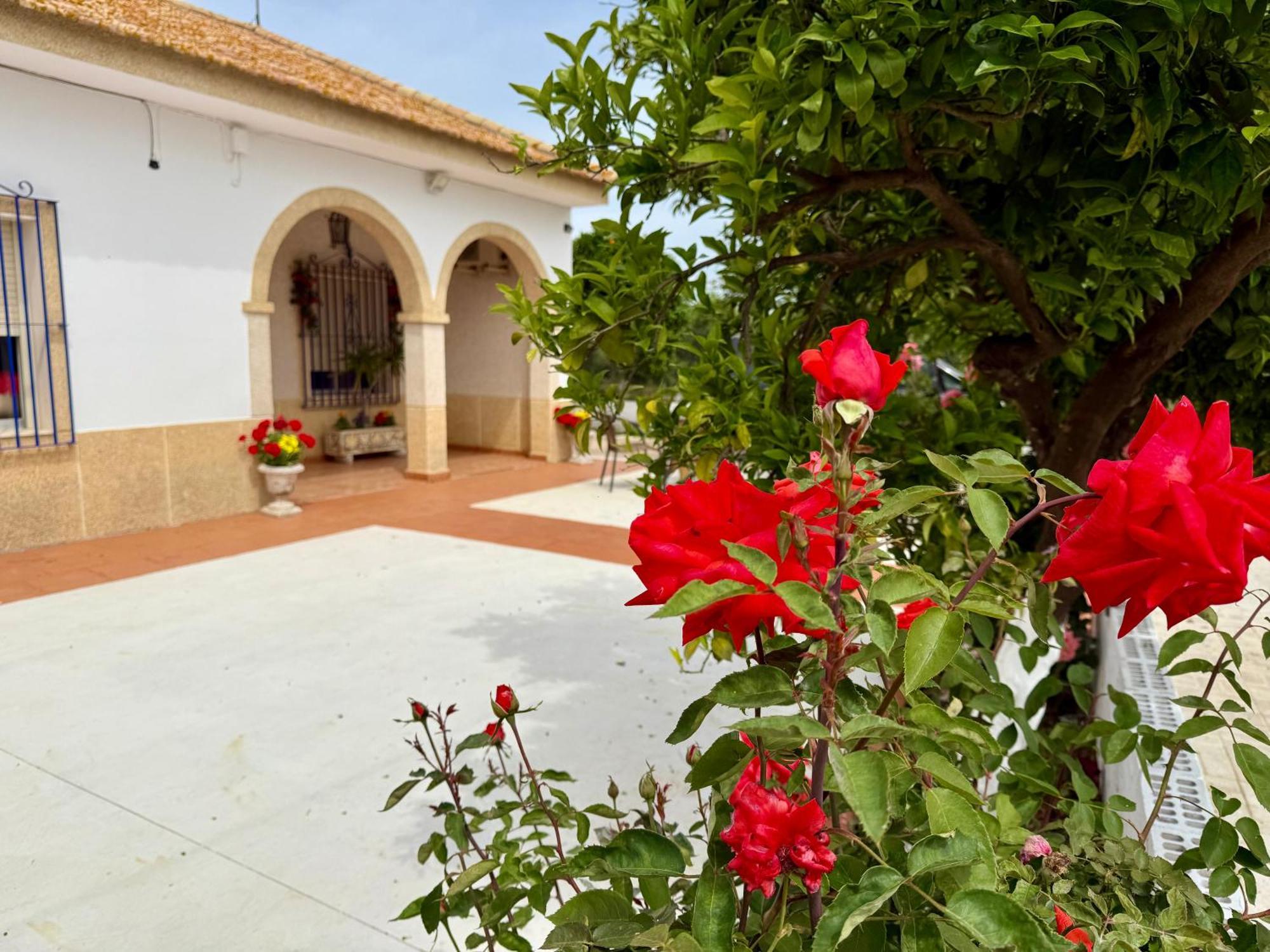 Vila La Casa Del Flamenco Cañada del Rabadán Exteriér fotografie